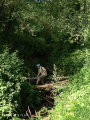 IMG-20240725-WA0011.jpg