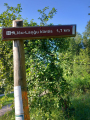 IMG-20240727-WA0090.jpg