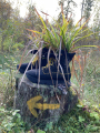 IMG-20241005-WA0057.jpg